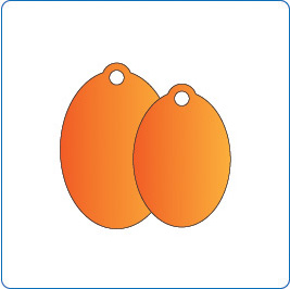 Oval Shaped Tags